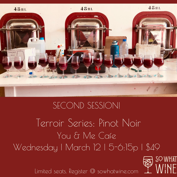 Terroir Series: Pinot Noir SECOND SESSION!