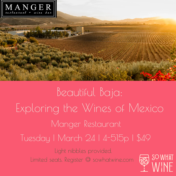 Beautiful Baja: Exploring the Wines of Mexico