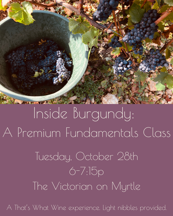 Inside Burgundy: A Premium Fundamentals Class